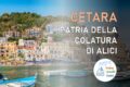 Cetara: la patria della colatura di alici